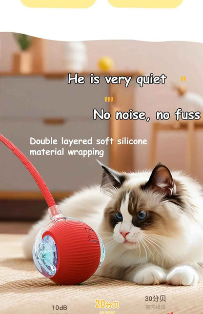 Kittra™ Self Moving Ball