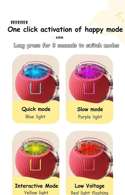 Kittra™ Self Moving Ball