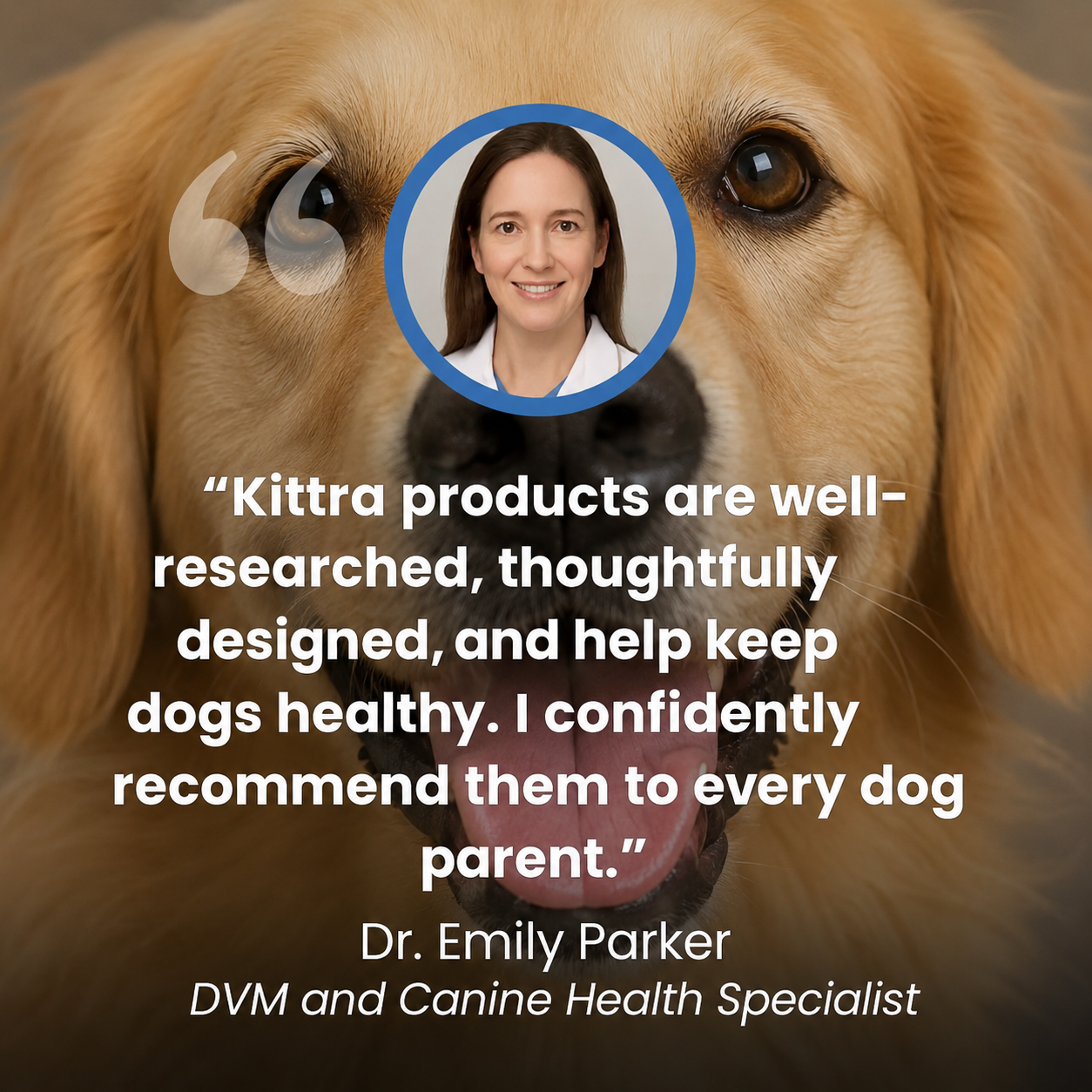 Kittra™ Cooling Mat for Dogs