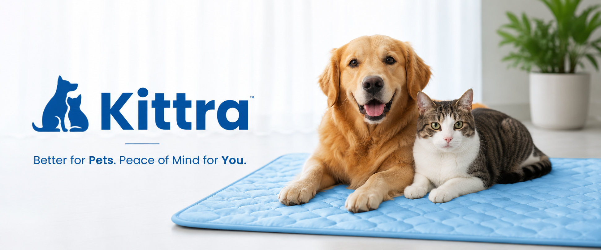 Wellness in One Swipe of the Paw. – Kittra
