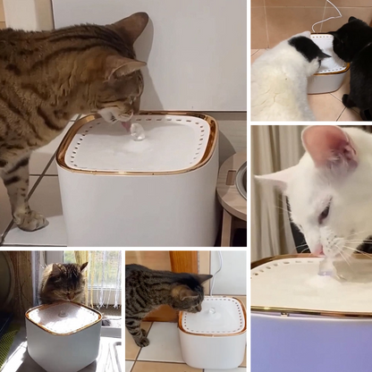 The Kittra™ Water Fountain For Cats