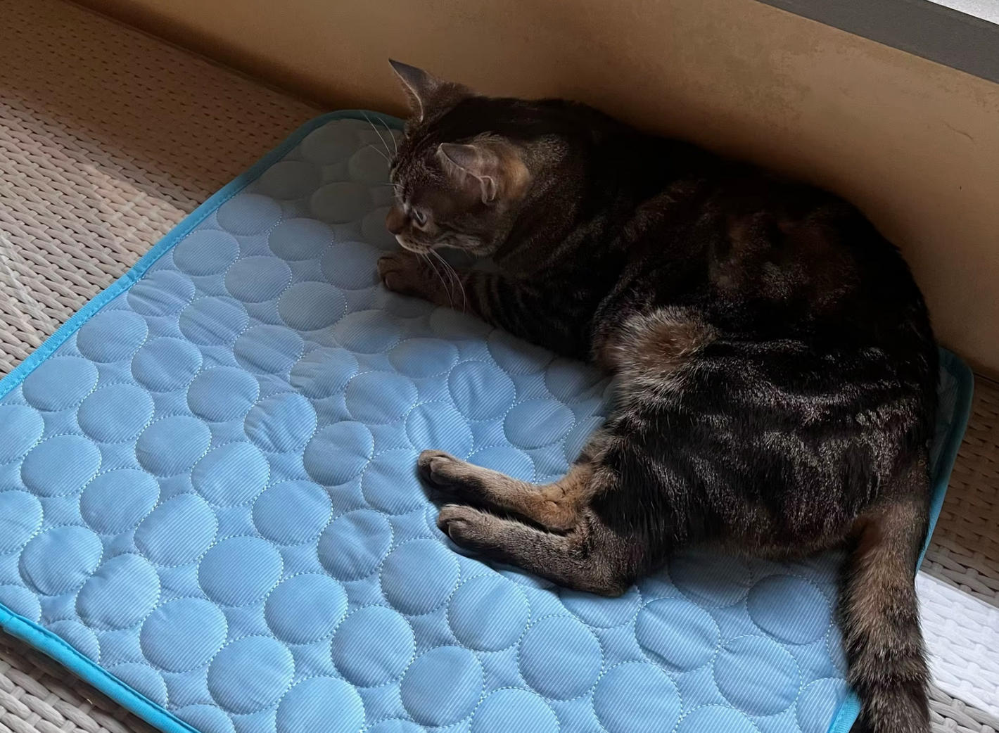 Näyttökuva 2025-08-30 kello 16.34.23.png__PID:dab891c3-ed63-4c5c-8f3a-55e496bfd444