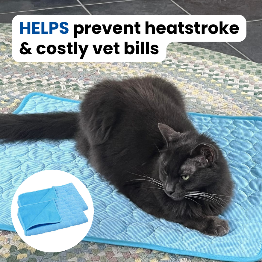 Kittra™ Cooling Mat