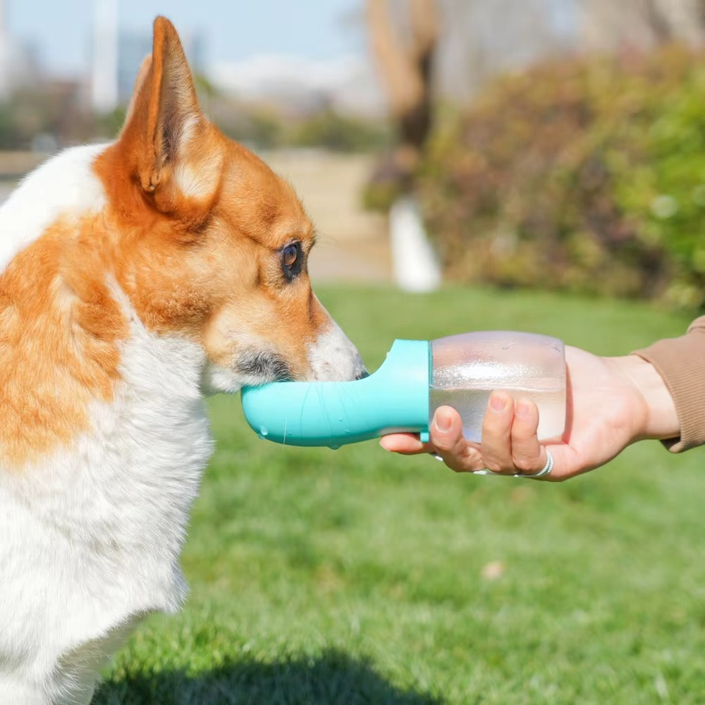 Kittra™ HydroFlow Bottle