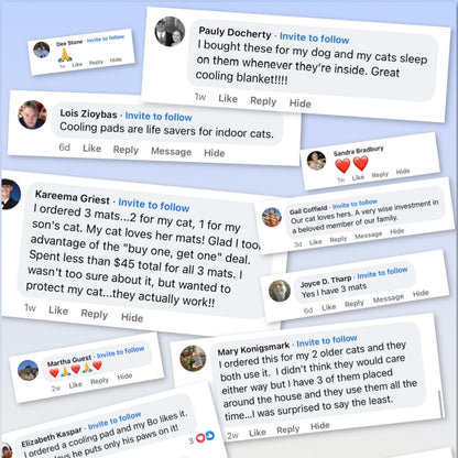 Kittra™ Cooling Mat